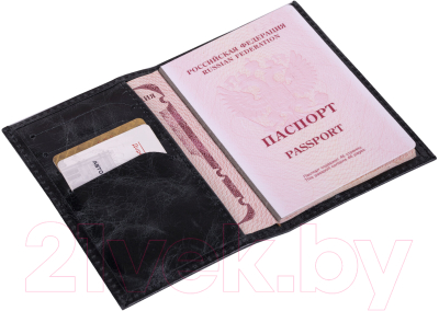 Обложка на паспорт Brauberg Passport / 238198