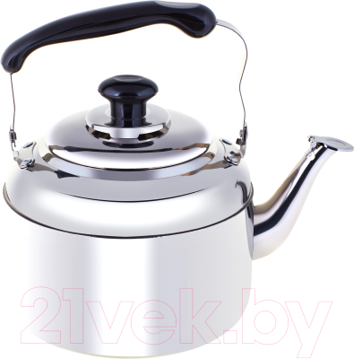 Чайник Appetite RGS-KD5291/5 - фото