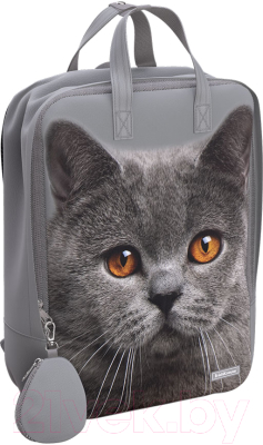 Рюкзак Erich Krause ActiveLine Basic 16L Grey Cat / 57339 - фото