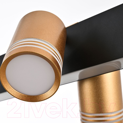 Люстра FAVOURITE 4074-6P