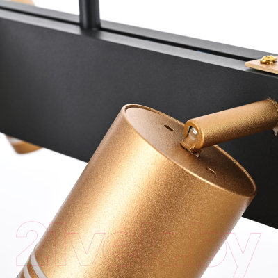 Люстра FAVOURITE 4074-6P