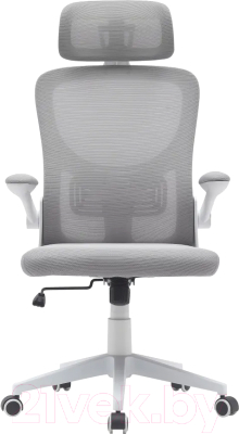 Кресло офисное TopChairs Airone D-502-1 (белый)