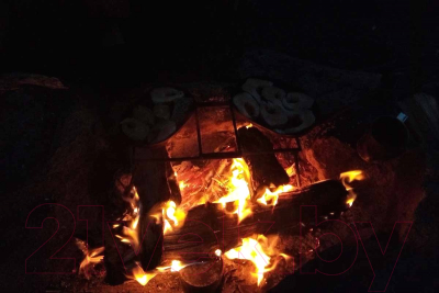 Решетка для костра Вольный ветер 31003