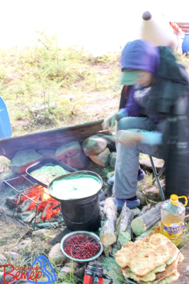 Решетка для костра Вольный ветер 31003