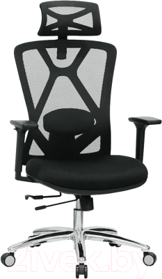 Кресло офисное Evolution Exo F1 - фото