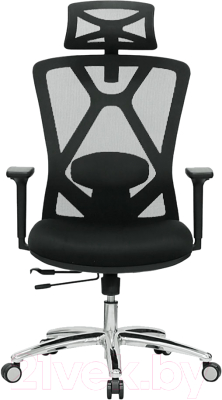 Кресло офисное Evolution Exo F1