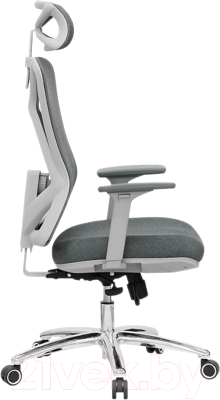 Кресло офисное Evolution Exo F1