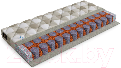 Матрас в кроватку Mr. Mattress Sunny L 60x120