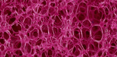 Матрас Mr. Mattress Centro 120x190