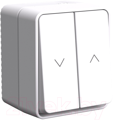 Выключатель Systeme (Schneider) Electric AtlasDesign ATN540119 - фото