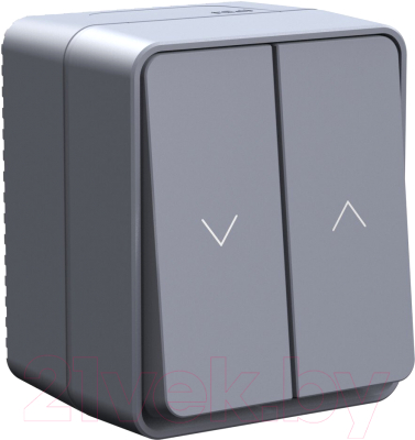 Выключатель Schneider Electric AtlasDesign ATN544019 - фото