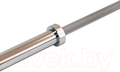 Гриф для штанги REBEL Cambered Bar / R-CAMB-M50