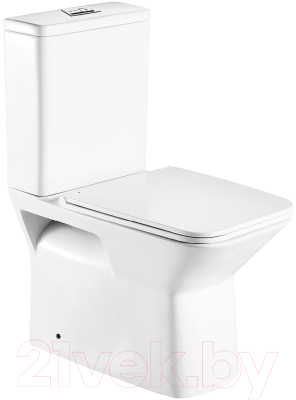 Унитаз напольный WeltWasser WW Zinnbach 001 GL-WT - фото