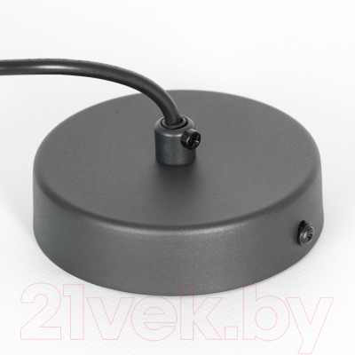 Потолочный светильник Lussole Blount LSP-8786