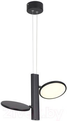 Потолочный светильник Lussole Aberdeen LSP-7084 - фото