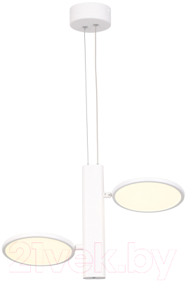 Потолочный светильник Lussole Aberdeen LSP-7085