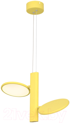 Потолочный светильник Lussole Aberdeen LSP-7086 - фото