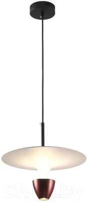 Потолочный светильник Lussole Irvine LSP-7082 - фото