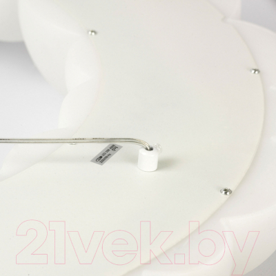 Потолочный светильник Lussole Claudia LSP-7078