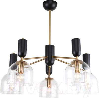 Люстра Lussole Greensboro LSP-8821 - фото