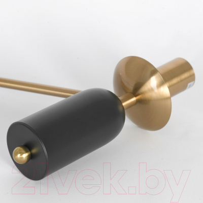 Люстра Lussole Greensboro LSP-8821