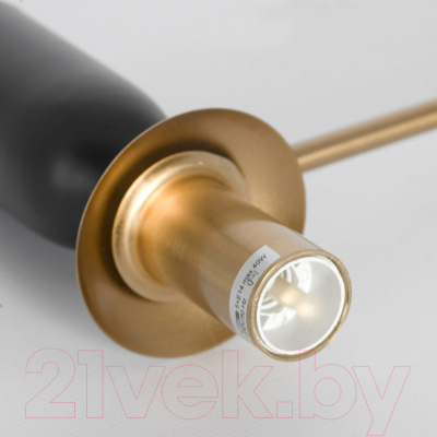 Люстра Lussole Greensboro LSP-8821