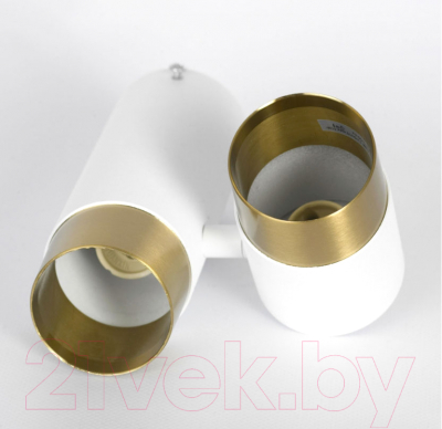 Точечный светильник Lussole Gilbert LSP-8829