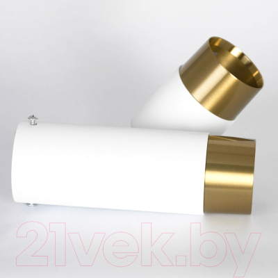 Точечный светильник Lussole Gilbert LSP-8829