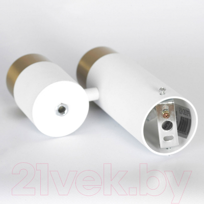 Точечный светильник Lussole Gilbert LSP-8829