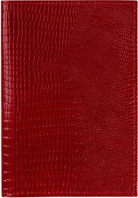 Обложка на паспорт Brauberg 238190 - фото