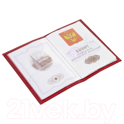 Обложка на паспорт Brauberg 238190