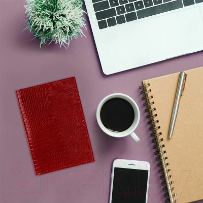 Обложка на паспорт Brauberg 238190