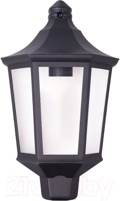 Бра уличное Элект Ника НБУ 06-60-003 У1 - фото