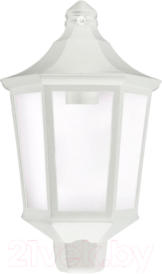 Бра уличное Элект Ника НБУ 06-60-003 У1 - фото