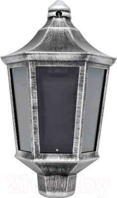 Бра уличное Элект Ника НБУ 06-60-003 У1 - фото