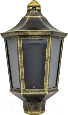 Бра уличное Элект Ника НБУ 06-60-003 У1 - фото
