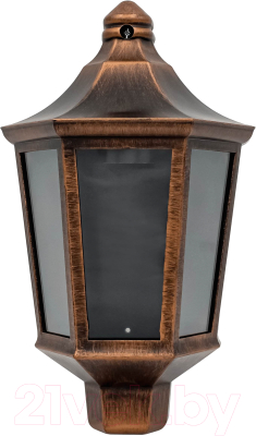 Бра уличное Элект Ника НБУ 06-60-003 У1 - фото