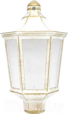 Бра уличное Элект Ника НБУ 06-60-003 У1 - фото