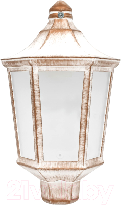 Бра уличное Элект Ника НБУ 06-60-003 У1 - фото