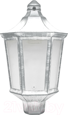 Бра уличное Элект Ника НБУ 06-60-003 У1 - фото