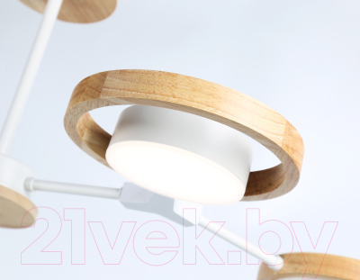 Потолочный светильник Ambrella Comfort FL51609