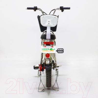 Электровелосипед Green Camel Транк-18 V2