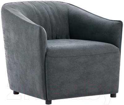 Кресло мягкое Нижегородмебель и К Флэш ТК 555 - фото