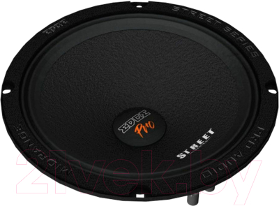 Среднечастотная АС EDGE EDSPRO8N-E0 - фото