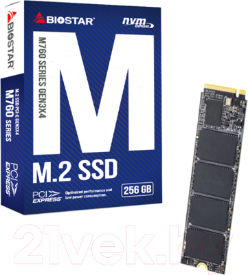 SSD диск Biostar M760 256GB - фото