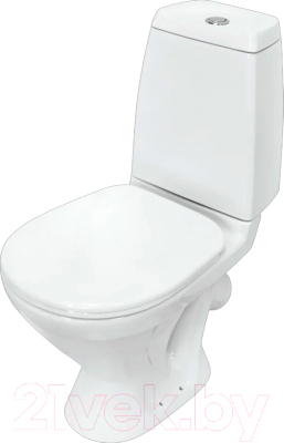 Унитаз напольный Sanita Кама WC.CC/Kama/2-TM/WHT.G/S1 - фото