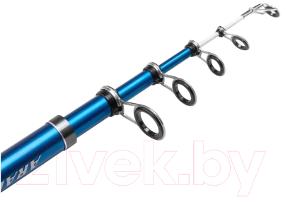 Удилище Ryobi Araiwa Surf 25 / 3005