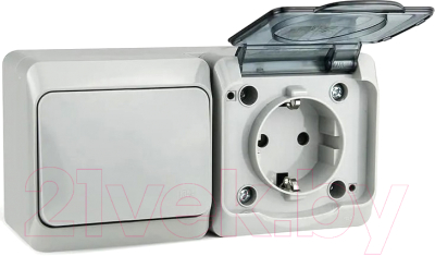 Блок выключатель+розетка Tokov Electric ОП Nix / TKE-NX-V1RZ-C06T-IP54 - фото