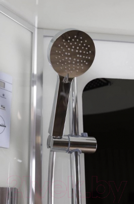 Душевая кабина Niagara NG-6001-01G 90x90x210