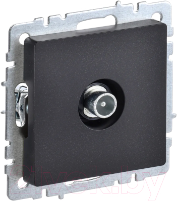 Розетка IEK Brite BR-A10-P-K02 - фото